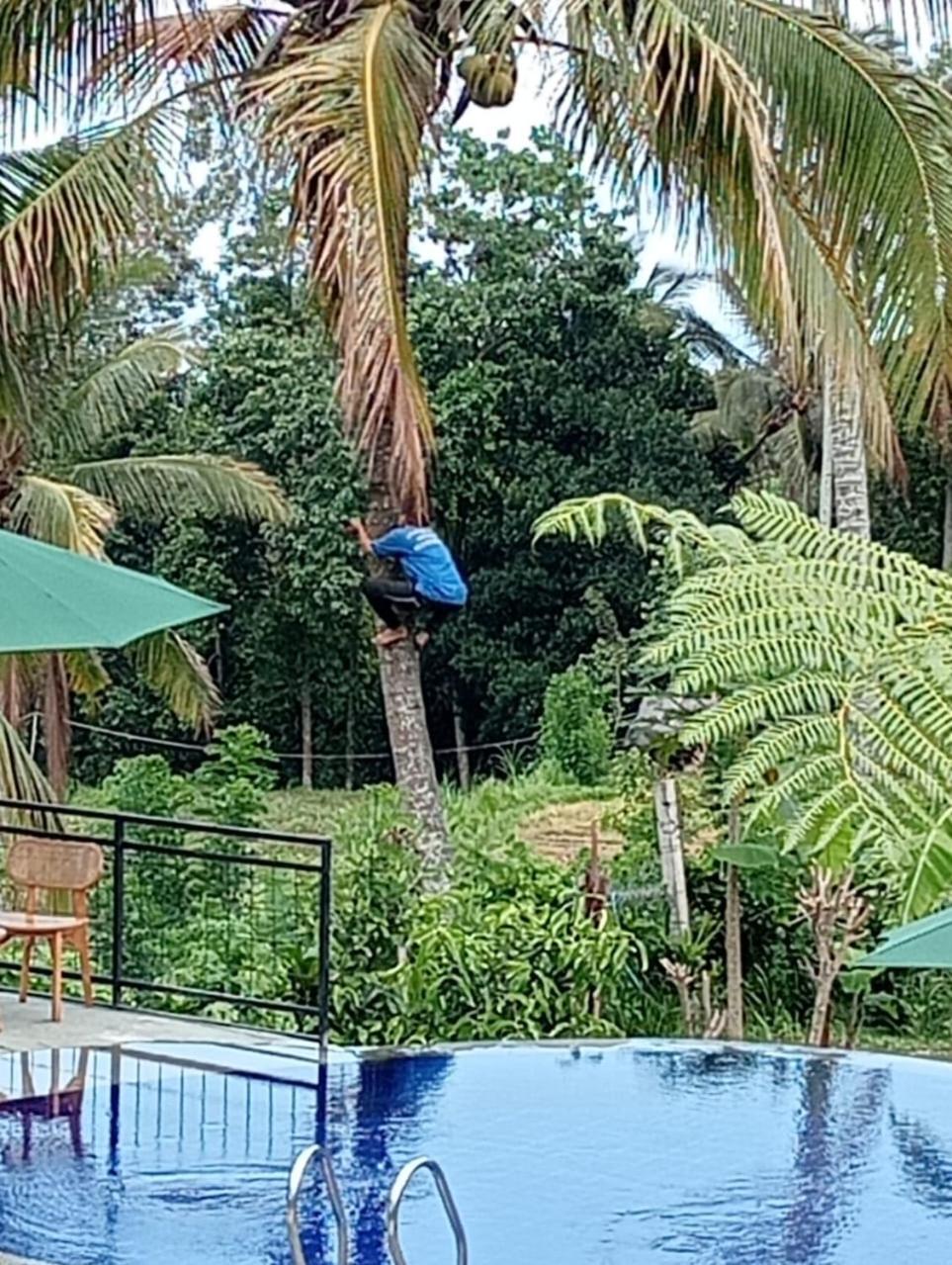 Sekumpul Bali Hidden Space Singaraja  Luaran gambar