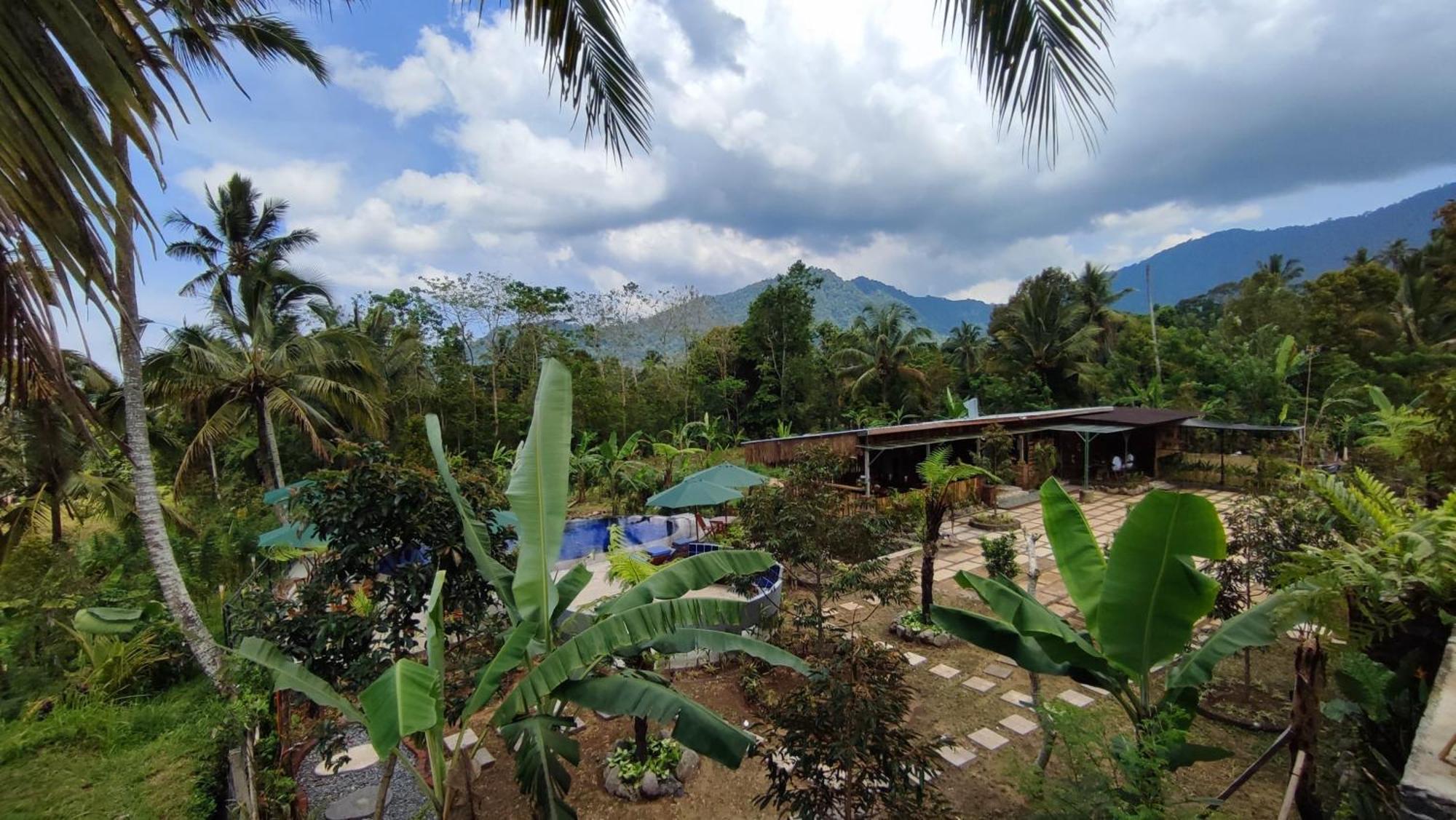 Sekumpul Bali Hidden Space Singaraja  Luaran gambar
