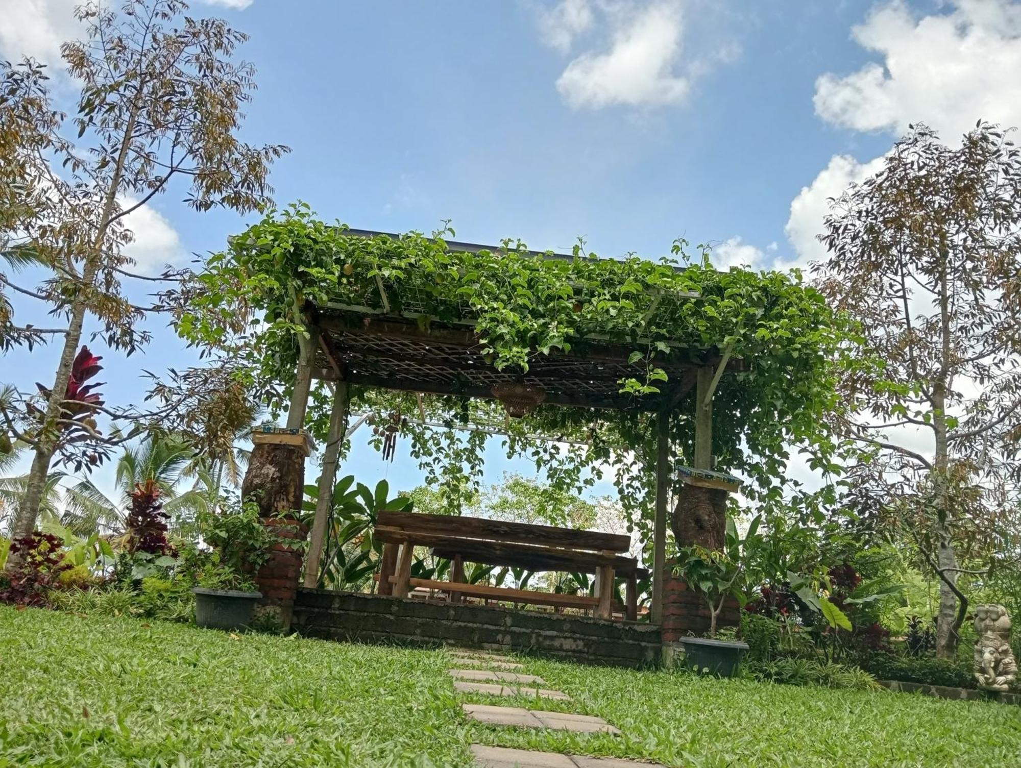 Sekumpul Bali Hidden Space Singaraja  Luaran gambar